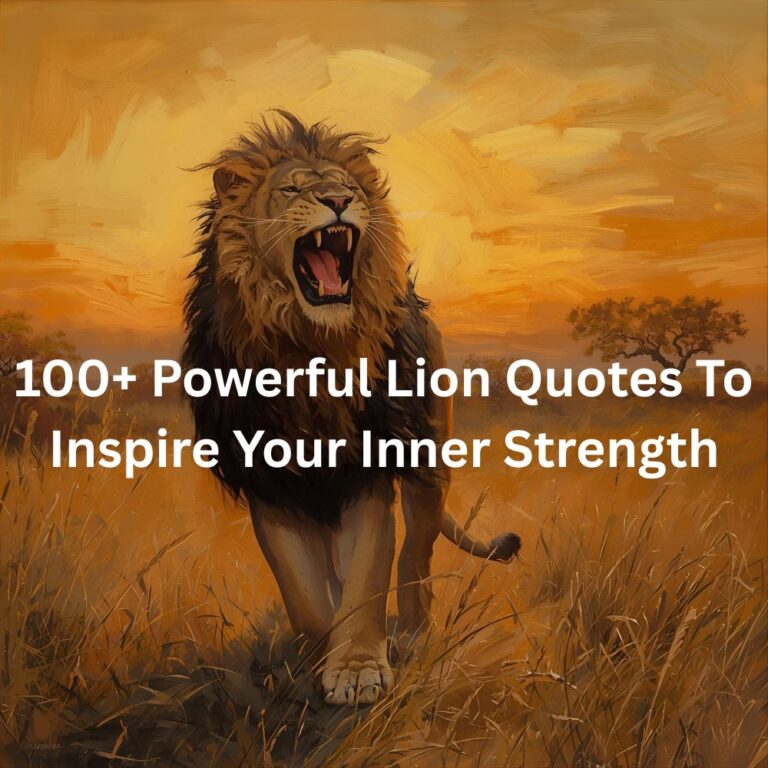 Lion Quotes