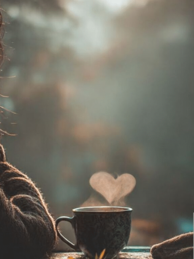 80+ Good Morning Quotes In Hindi Jo Dil Ko Chhu Jayen