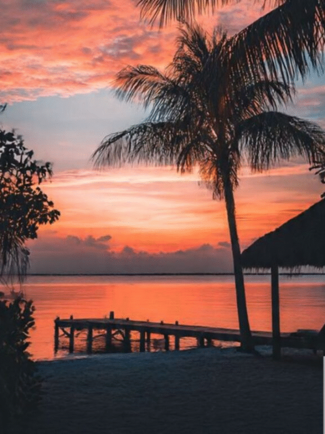 100+ Friday Quote Of The Day Sayings To Welcome The Weekend