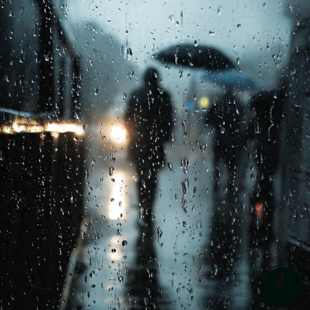 beautiful rain quotes