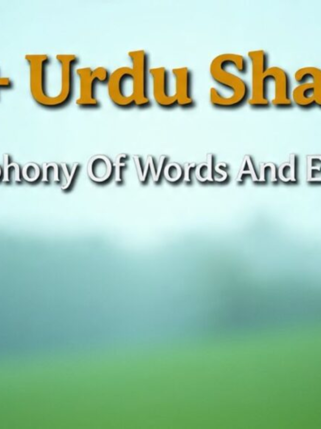 150+ Urdu Shayari A Symphony Of Words And Emotions