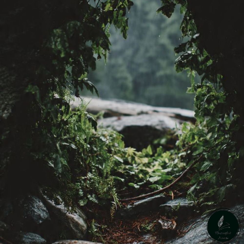 save nature quotes in hindi