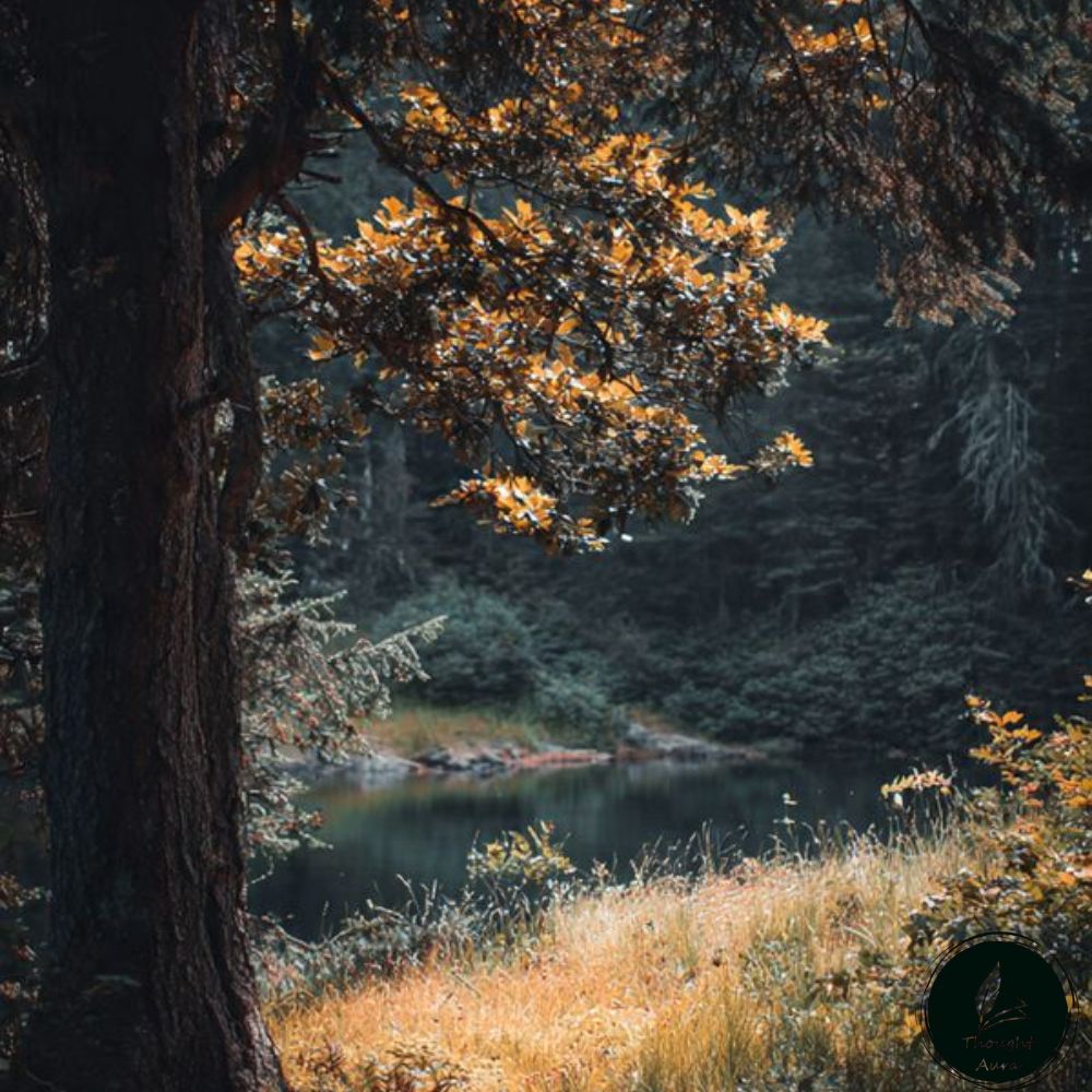 self confidence nature quotes in hindi