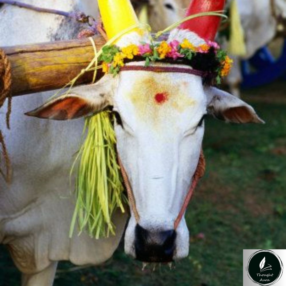 mattu pongal wishes in tamil